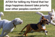 Teenager Is Scared Of Dogs, But Has To Walk Through A Field With Unleashed Dogs To Get To School. Now Her Dog Owner Friend Is Twisting Her Words To Play Victim To Their Friends.