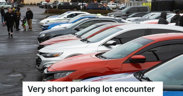 Cars lined up side by side in a parking lot
