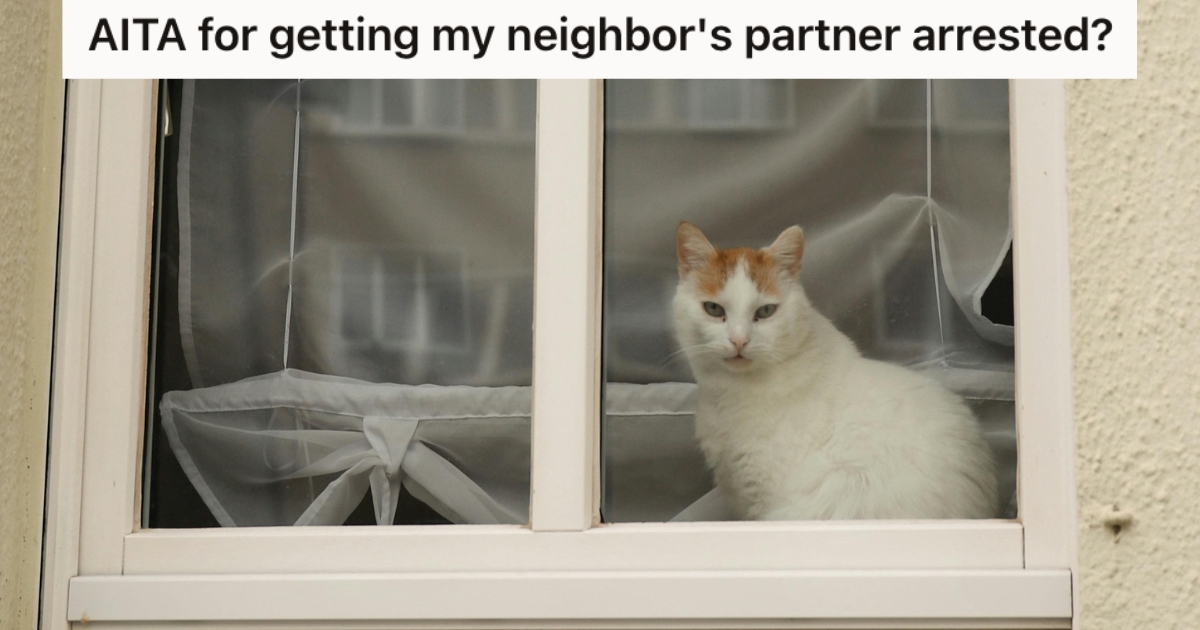 Beuatiful white cat with brown ears sitting on the window sill looking outside