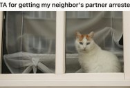 Woman Lost Her Beloved Cat, So She Did Everything To Get It Back Even If It Meant Clashing With The Neighbors