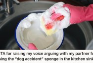 Man Scolded His Partner For Using A Dirty Sponge To Clean The Dogs’ Bowls, So Now She’s Upset And Called Him Patronizing