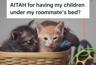 Her Cat Kept Inconveniencing Her After It Had Its Kittens, So This Woman Wrote A Hilarious Story From Her Cat’s Perspective