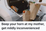Rude Driver Kept Honking At An Elderly Shopper To Move Her Shopping Cart, So She Executed The Perfect Petty Revenge
