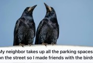 Neighbor Kept Hogging Parking Spaces And Wrecking His Lawn, So This Man Sought The Help Of Crows For The Ultimate Petty Payback