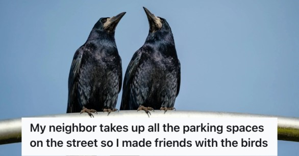 Two crows standing on a metal beam