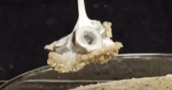 Web Shooter In Real Life