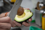 Avocados Are Responsible For A Massive Number Of Visits To The Emergency Room. Here’s Why.