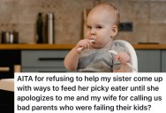 Sister Shamed Their Parenting Style For Years, So They Refused to Help Her Handle Her Own Picky Eater
