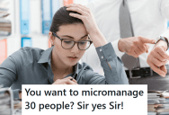 A Micromanager Came In And Demanded The Team Use A New Time Tracking Tool, But When These Programmers Followed Orders Perfectly, The Micromanager Had To Admit Defeat