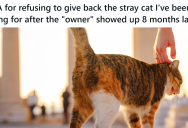 They Cared For A Cat For 8 Months, And Then A Suspicious “Owner” Showed Up At Their Door. So They Refused To Give The Cat Back.