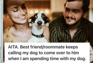 His Dog Is His Best Friend, But His Territorial Roommate Keeps Trying To Steal The Canine’s Affection