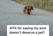 A Niece Assumed Care Of Her Neglectful Aunt’s Yorkie, And She Got More Than Just A Pet Project… She Also Got Family Drama