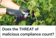 Entitled Neighbors Complained About A Homeowner’s Hedges, But Changed Their Minds About Paying For Maintenance When Homeowner Threatened To Remove Them Altogether