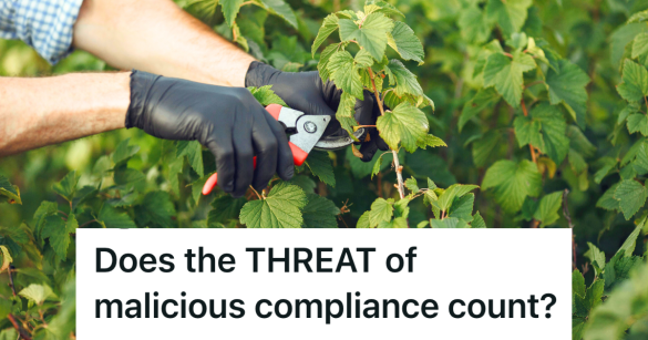 gardener trimming an overgrown hedge