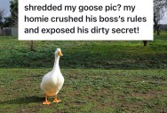 A Young Employee Was Publicly Humiliated By His Hypocritical Boss, So He Got The Whole Office To “Flock” To His Side