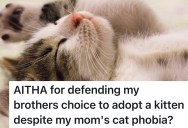 Mom Has A Paralyzing Fear Of Cats, But Her Son Adopts One Anyway And Now She Feels Betrayed