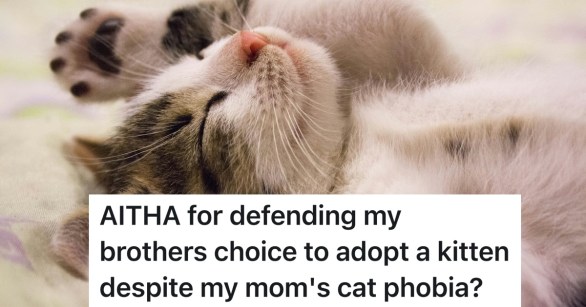 cat laying upside own