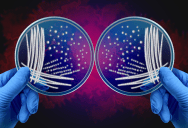 Researchers Realize Their ‘Mirror Life’ Research Has The Potential To End All Existence On Earth