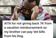 Man Backs Out Of Family Trip To Hawaii Due To An Expensive Vet Bill, But His Brother Refuses To Give Him Back The Money He Already Paid For The Trip