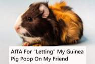 She Handed Off Her Pet Guinea Pig To A Friend For Just A Second, But In That Fateful Second, A Friendship Was Destroyed