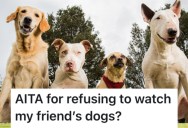 Her Friend Asked Her To Watch Her Four Dogs While She’s Out of Town, But They’re On The Outs Because She Didn’t Have Time To Do It