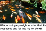His Neighbor’s Son Ruined His Expensive Koi Pond, So Instead Of Paying The Kid’s Medical Bills, He’s Suing The Neighbor