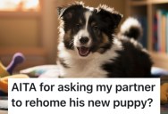 Her Boyfriend Isn’t Helping Out With Their New Puppy, So She Wants to Give it Away To Someone Else