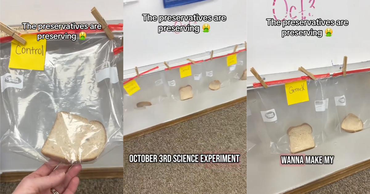 photos of bread in bags