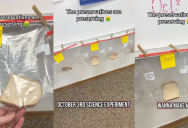A Teacher And Her Students Conducted An Interesting Experiment Using Sara Lee Bread