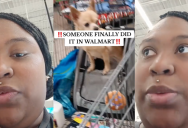 Walmart Shopper Called Out People Who Put Their Dogs In Store Shopping Carts