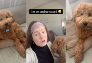 Pet Owner Says People Shouldn’t Bring Their Dogs To Home Depot When They Go Shopping