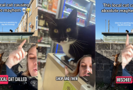 A Cat Named Mischief Has Been Seen All Over a British Town, So People Made A Map To Track His Movements