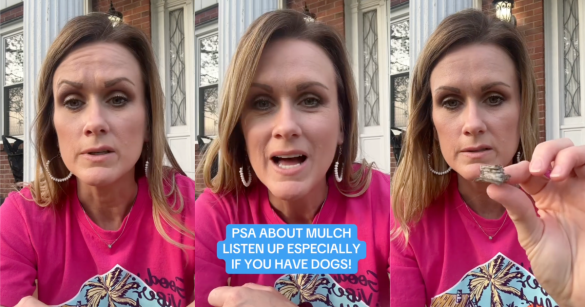 three photos of a woman talking about mulch