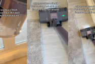 Dog Owner Isn’t Happy With How Her Shark Vacuum Cleaner Handles Pet Hair