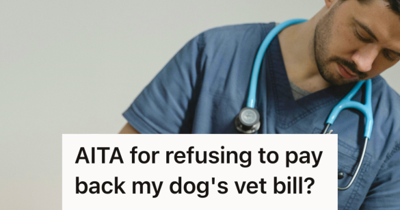 vet wearing scrubs and stethoscope