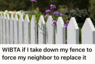 Negligent Neighbors Ignored Building Codes And Cheaped Out On Fence Maintenance, So One Homeowner Finally Decided To Draw The Line