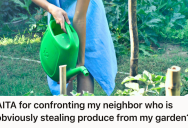 Gardener Noticed Her Vegetables Disappearing, So She Accused Her New Neighbor Of Stealing Even Though She Didn’t Have Proof