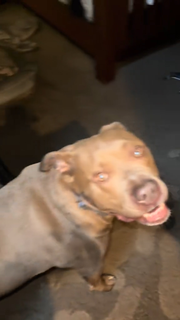A soot-covered home following a fire