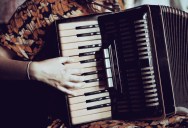 Scientist Discovers New Species Of Worm That Can Accordion Itself Down To Just One-Fifth Of Its Full Length