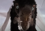 Video Inserts Scientifically Accurate Velociraptors Into “Jurassic Park,” And The Result Is More Terrifying Than Fiction