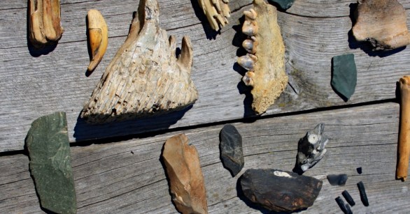 Denisova Cave Fossils