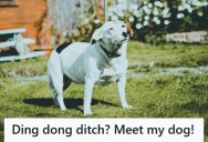 Pranksters Pounded On The Wrong Door And Got Chased Off By A Dog, But They Left Behind Their Cheetos, Arizona Tea, And Dignity