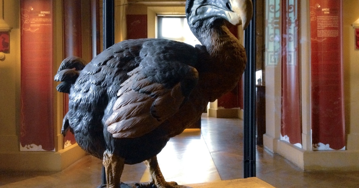 Statute of a Dodo Bird