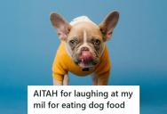 Her Mother-In-Law Helped Herself To Dog Food Cooling On The Stove, Then Called Everyone And Accused Her Of Setting Her Up To Look Foolish