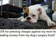 Her Mother Stole $5,000 From Her Dog’s Surgery Fund, And She Reported Her To The Police