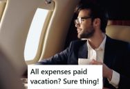 His Client Refused To Perform Some Simple Printer Setup Tasks Over The Phone, So The Client Paid Him To Fly Out To Chicago To Configure A Printer And Then To Stay In Town For A Few Days Acting Like A Tourist