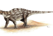 The Discovery Of Mysterious Footprints In Tumbler Ridge, British Colombia, Unlocks Secrets About Prehistoric North America