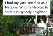 Woman’s Neighbor Filed Complaints Against Over Thirty Gardens For Overgrown Weeds, But She Found A Way To Have Her Yard Certified As A National Wildlife Habitat