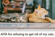 Her Husband Demanded She Get Rid Of The Cats They Raised Together, But She Refused Because She Considers The Cats Part Of Her Family