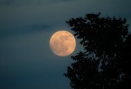 The Mini-Moons That Occasionally Travel Alongside The Earth Might Not Be What We Thought